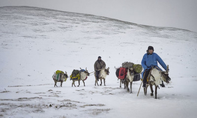 2025-12-03 VDM Winter Taiga-Mongolie2020_DS-100.jpg.jpeg